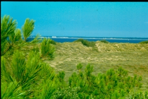 ref=dune2